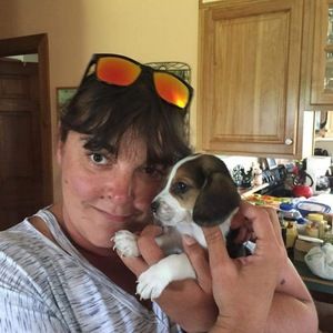 Meet your Posher, Tabitha